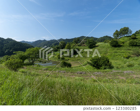Asuka Village in summer with fresh greenery spreading out 123380285