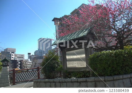 Shinagawa Bridge 123380439