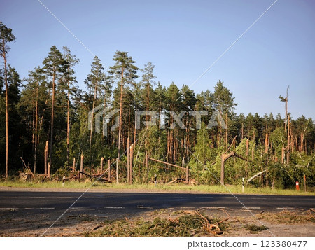 The aftermath of the hurricane. Fallen and broken trees in the forest after a thunderstorm. Broken tree trunks after passing a strong wind The aftermath of the hurricane. Fallen and broken trees in the forest after a thunderstorm. Broken tree trunks after passing a strong wind 123380477