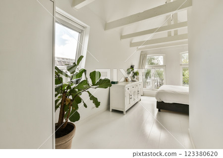 A spacious, contemporary bedroom filled with natural light, featuring minimalist decor and a touch of greenery from a potted plant. 123380620