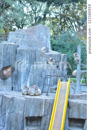 福岡市動植物園 123380959