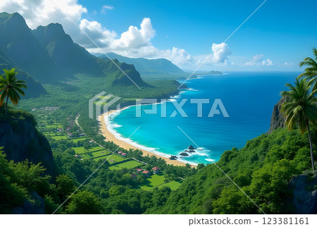 aerial view of tropical beach and sea with coconut palm tree 123381161