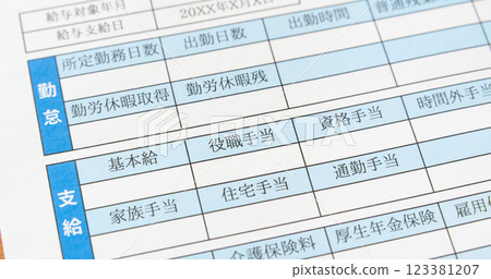 Position allowance column of pay slip Salary 123381207