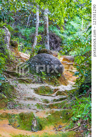 Hiking trail in natural tropical jungle forest Ilha Grande Brazil. Hiking trail in natural tropical jungle forest Ilha Grande Brazil. 123381290
