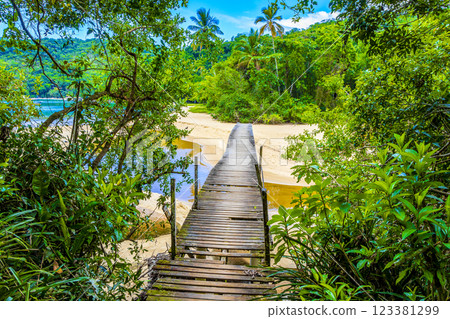 Mangrove and Pouso beach with bridge island Ilha Grande Brazil. 123381299