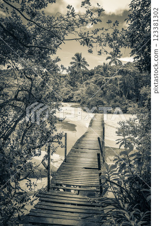 Mangrove and Pouso beach with bridge island Ilha Grande Brazil. 123381302