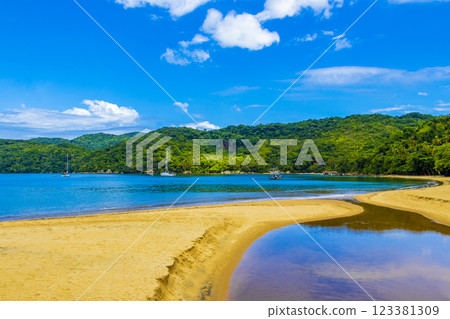 Mangrove and Pouso beach on tropical island Ilha Grande Brazil. 123381309