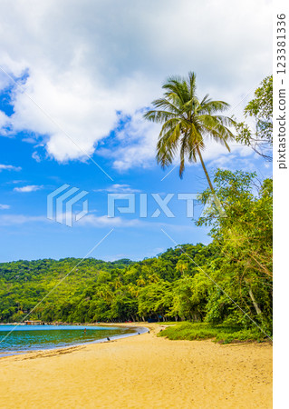 Mangrove and Pouso beach on tropical island Ilha Grande Brazil. Mangrove and Pouso beach on tropical island Ilha Grande Brazil. 123381336