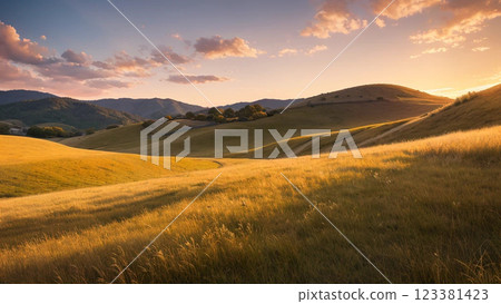 落日照亮的草甸 123381423