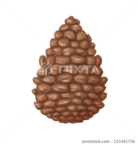 A dry pine cone is a close plan. Autumn and winter natural rustic decoration. Cozy handmade decor from recyclable materials, eco toy for a Christmas tree. Minimalistic gifts. Isolated illustration 123381758