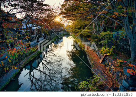 八幡堀 2023 年秋季 123381855