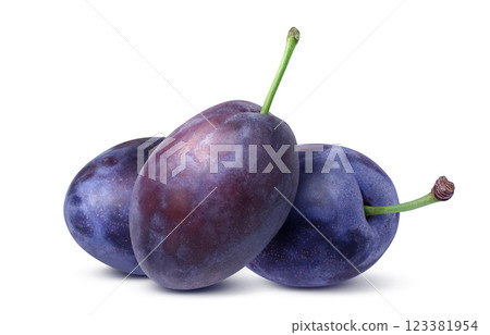 Prune illustration realistic Prune illustration realistic 123381954