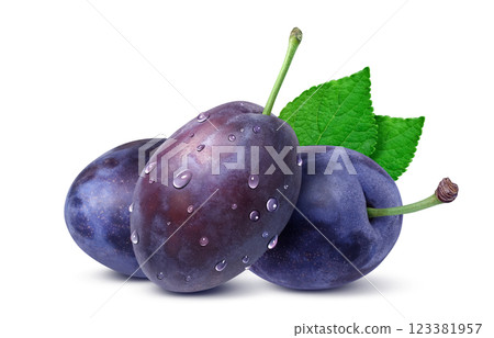 修剪插圖逼真 修剪插圖逼真 123381957