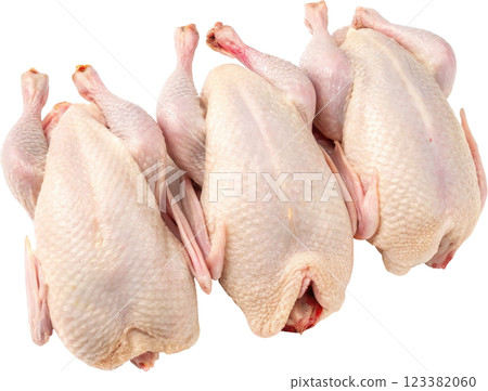 Bunch of Raw Whole Chickens Ready for Cooking 123382060
