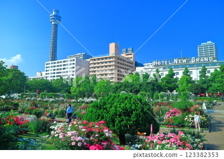 [Kanagawa Prefecture] Yamashita Park on a clear day and roses in full bloom (Minato Garden) 123382353