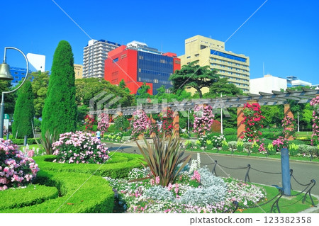 【神奈川縣】晴天的山下公園，玫瑰盛開（港花園） 123382358