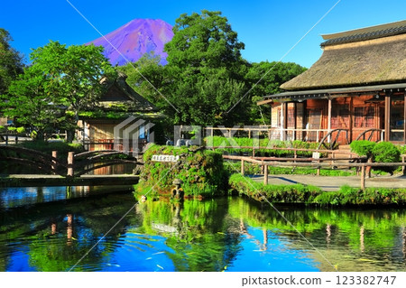 [山梨縣] 夏季的富士山（紅富士）和忍野八海（中池） 123382747