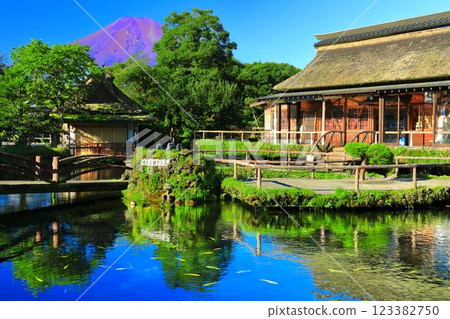 [山梨縣] 夏季的富士山（紅富士）和忍野八海（中池） 123382750