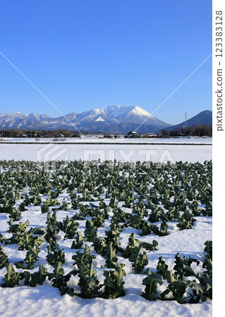 Snowy Mt. Daisen and rural scenery 19 Snowy Mt. Daisen and rural scenery 19 123383128
