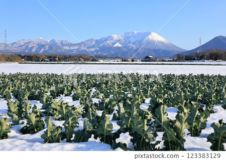 Snow-capped Mt. Daisen and rural scenery 20 Snow-capped Mt. Daisen and rural scenery 20 123383129