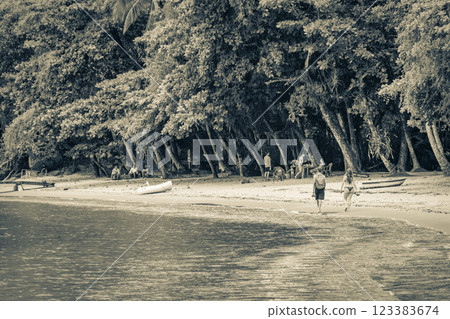 Mangrove and Pouso beach on tropical island Ilha Grande Brazil. Mangrove and Pouso beach on tropical island Ilha Grande Brazil. 123383674