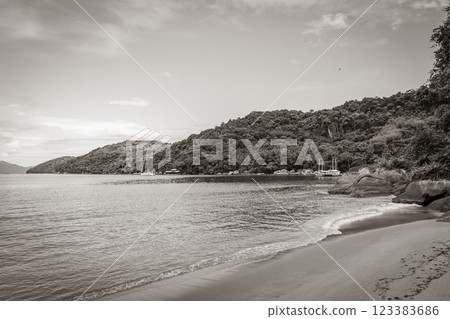 Mangrove and Pouso beach on tropical island Ilha Grande Brazil. 123383686