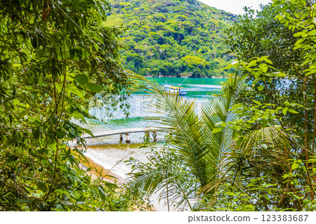 Mangrove and Pouso beach on tropical island Ilha Grande Brazil. 123383687