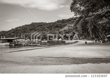 Mangrove and Pouso beach on tropical island Ilha Grande Brazil. Mangrove and Pouso beach on tropical island Ilha Grande Brazil. 123383697