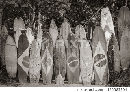 Cool Surfboards brazilian flag Ilha Grande Rio de Janeiro Brazil. 123383704