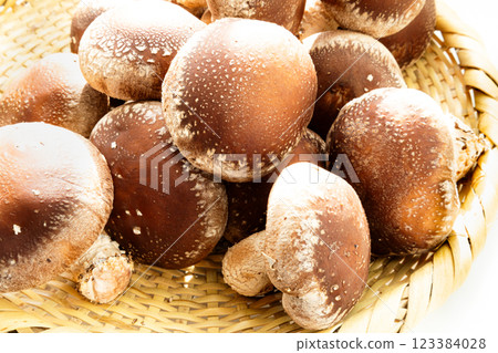 Image of many delicious looking shiitake mushrooms in a basket Image of many delicious looking shiitake mushrooms in a basket 123384028