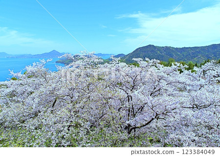 Hanamo no Sato 123384049