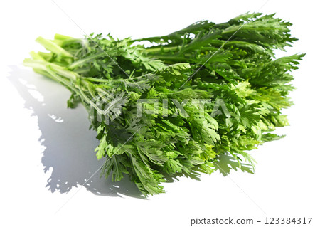 Shungiku (shungiku) 123384317