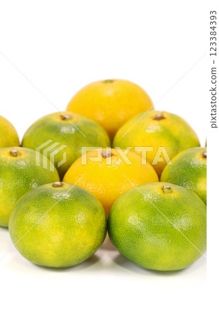 Nishiura mandarin oranges, early-ripening mandarin oranges, Shizuoka Prefecture, bright background Nishiura mandarin oranges, early-ripening mandarin oranges, Shizuoka Prefecture, bright background 123384393