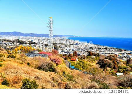 View of Odawara city center (Minamimachi, Honmachi) (Odawara city, Kanagawa prefecture) [2025.2] 123384571