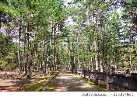 Hyogo Prefecture Minamiawaji City Keino Matsubara Proposal Road 123384605