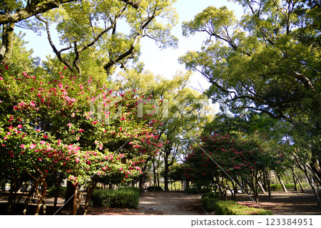 冬天的名古屋鶴舞公園 123384951