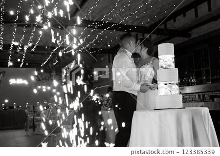 newlyweds happily cut and taste the wedding cake newlyweds happily cut and taste the wedding cake 123385339