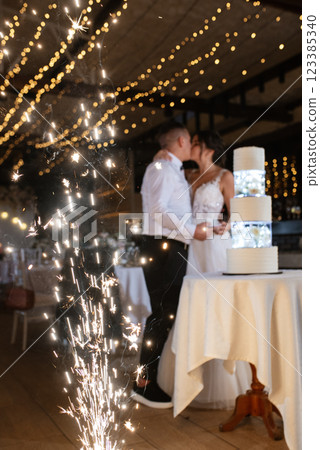 newlyweds happily cut and taste the wedding cake newlyweds happily cut and taste the wedding cake 123385340