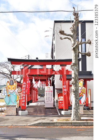 冬季拍攝北海道函館伏白稻荷神社的場地 123385379