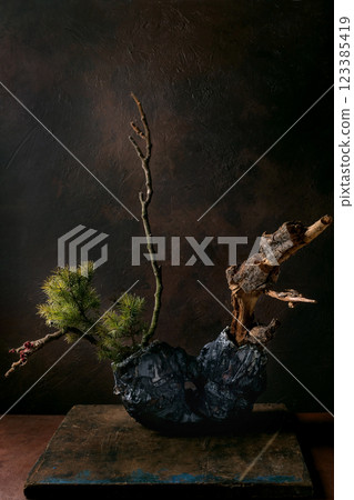 Botanical arrangement ikebana Botanical arrangement ikebana 123385419