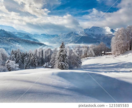 Winter scenery of the plateau Winter scenery of the plateau 123385583