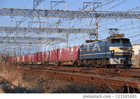 EF66 trains carrying containers on the Tokaido Line in the morning 123385883
