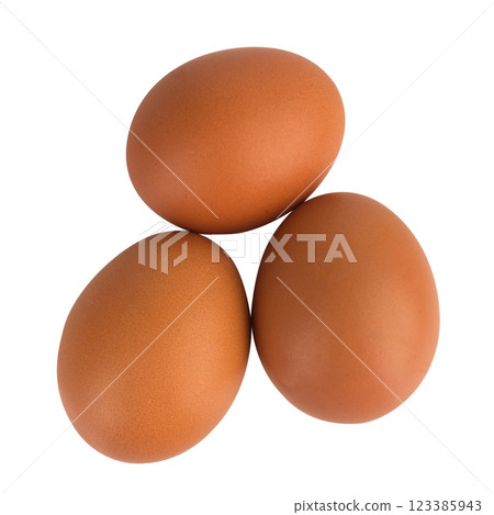 egg duck isolated on white background 123385943