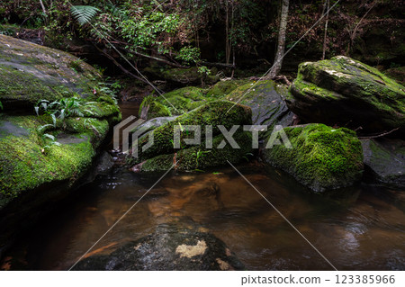 Waterfall in the rainforest National Park, Thailand 123385966