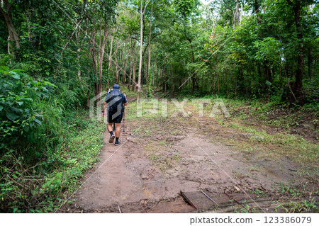 Hiking in forest at national park, Loei Province Thailand. Hiking in forest at national park, Loei Province Thailand. 123386079