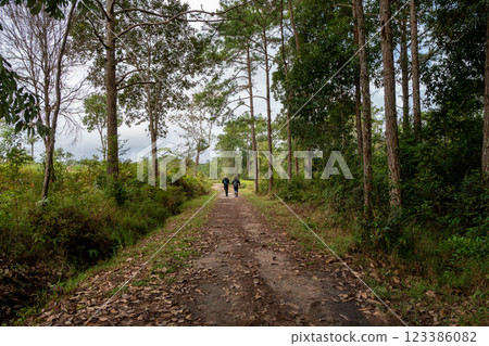 Hiking in forest at national park, Loei Province Thailand. 123386082