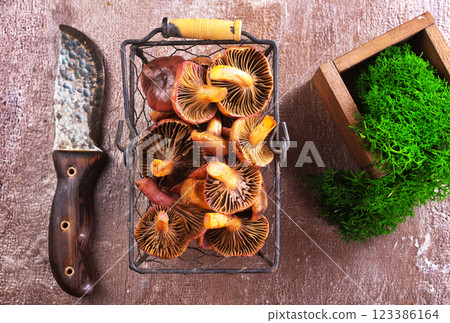 The Slimy Spike (Gomphidius glutinosus) is an edible mushroom The Slimy Spike (Gomphidius glutinosus) is an edible mushroom 123386164