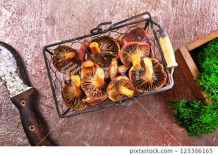 The Slimy Spike (Gomphidius glutinosus) is an edible mushroom The Slimy Spike (Gomphidius glutinosus) is an edible mushroom 123386165