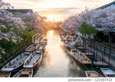 Suigo river with tourist boats and sakura tunnel at sunset, Yanagawa 123387418