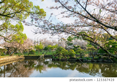 Mihashira Shrine garden with cherry sakura blossom, Yanagawa Mihashira Shrine garden with cherry sakura blossom, Yanagawa 123387419